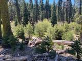 0000 Logging Rd - Photo 24