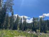 0000 Logging Rd - Photo 27