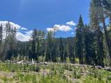 0000 Logging Rd - Photo 28