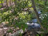 0000 Logging Rd - Photo 3
