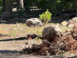 0000 Logging Rd - Photo 5