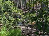 0000 Logging Rd - Photo 8