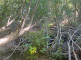 0000 Logging Rd - Photo 9