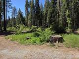 33433 Plateau Pines Road - Photo 10