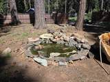 33433 Plateau Pines Road - Photo 24