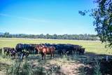 8113 Churn Creek Road - Photo 24