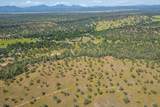 0000 Racoon Way - Photo 11