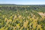 0000 Racoon Way - Photo 15