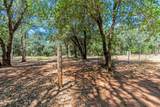 10390 October Lane - Photo 54