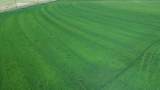 Lot 002 Lee Road - Photo 23