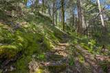 30728 Hagen Flat Road - Photo 138