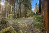30728 Hagen Flat Road - Photo 139