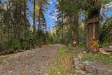 30728 Hagen Flat Road - Photo 142
