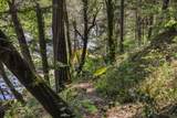 30728 Hagen Flat Road - Photo 48