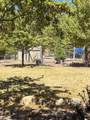 5312 Kidder Loop Loop - Photo 39