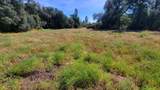 000 Brincat Manor Road - Photo 1