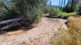 000 Brincat Manor Road - Photo 10
