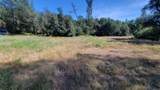 000 Brincat Manor Road - Photo 11