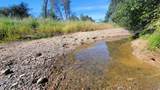 000 Brincat Manor Road - Photo 21