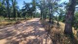 000 Brincat Manor Road - Photo 5