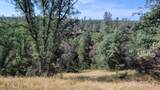 000 Brincat Manor Road - Photo 6