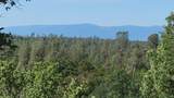 000 Brincat Manor Road - Photo 7