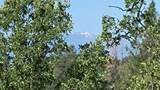 000 Brincat Manor Road - Photo 8
