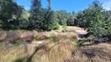 000 Brincat Manor Road - Photo 9
