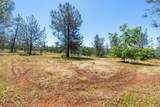 7117 Pine Bluff Drive - Photo 42