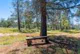 7117 Pine Bluff Drive - Photo 43