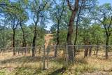 19578 Covington Mill Drive - Photo 41