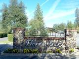 13212 Tierra Heights Road - Photo 2