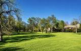 13212 Tierra Heights Road - Photo 5