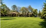 13212 Tierra Heights Road - Photo 8
