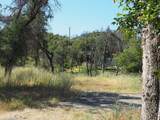 20103 Parocast Road - Photo 1