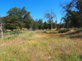 20103 Parocast Road - Photo 11