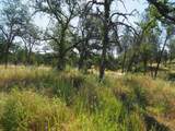 20103 Parocast Road - Photo 13