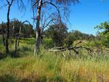 20103 Parocast Road - Photo 16