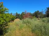 20103 Parocast Road - Photo 22