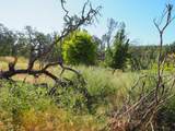 20103 Parocast Road - Photo 9