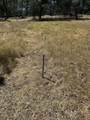  Old Oregon Trail - Photo 2