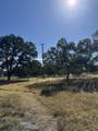  Old Oregon Trail - Photo 3