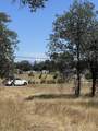  Old Oregon Trail - Photo 4