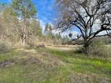  Donkey Mine And Madison 160 Ac Road - Photo 23