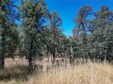  Jewell Road - Photo 13