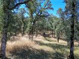  Jewell Road - Photo 14