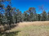  Jewell Road - Photo 15