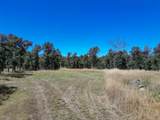  Jewell Road - Photo 9