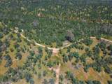  40 Acres Two Feathers Road - Photo 14