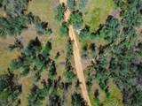 40 Acres Two Feathers Road - Photo 16